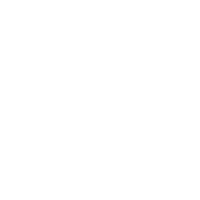 dsoa-logo-white-medium