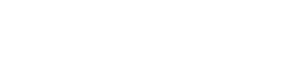 DSOA - SAA 2023 Brand Handover Files_simple-logo