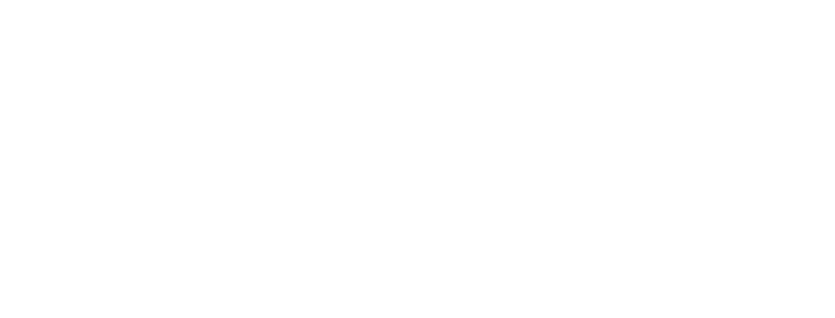IDD2025 Logo-White